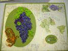 Grape_Card_for_Craft_Card_Site.jpg